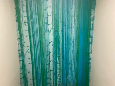 Xylem Wall Graphics